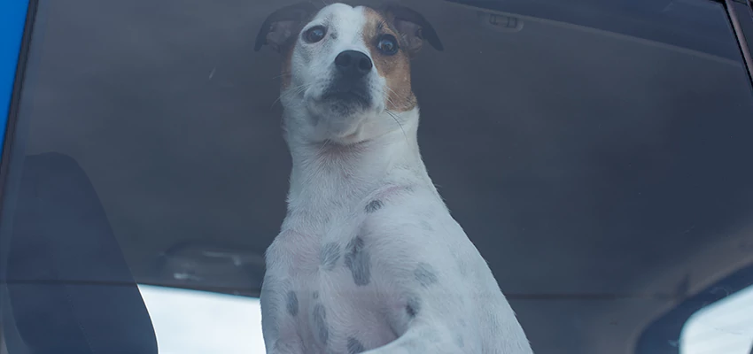 Car Lockout Solutions in Fountain Valley, California